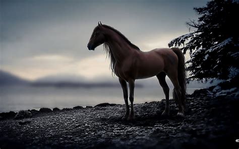 Download 60 Dark Horse Wallpapers On Wallpaperplay Wallpapertip