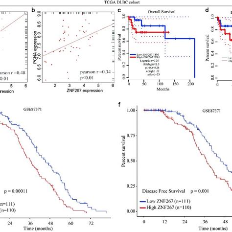 The Relationship Between Znf267 Expression And Dlbcl Prognosis A Download Scientific