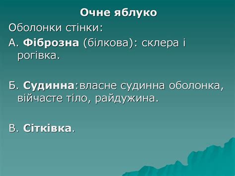 Орган зору - презентация онлайн