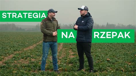 WYDAŁ 6 5 TYS NA ANALIZY GLEBY STRATEGIA JARKA NA RZEPAK W 2024