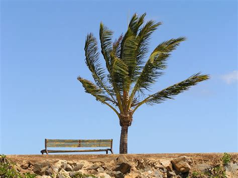 Скамейка влюбленных (Нина Бескупская) / Проза.ру