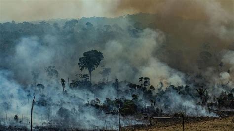 Los Países En Los Que Más Gente Muere Por La Contaminación Blog