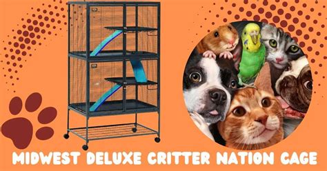 Midwest Deluxe Critter Nation Cage Review - Biology Educare