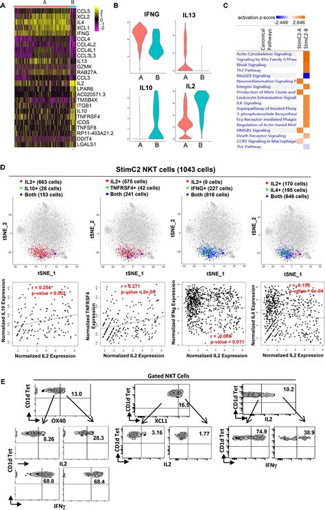 Frontiers Single Cell Rna Seq Analysis Uncovers Distinct Functional