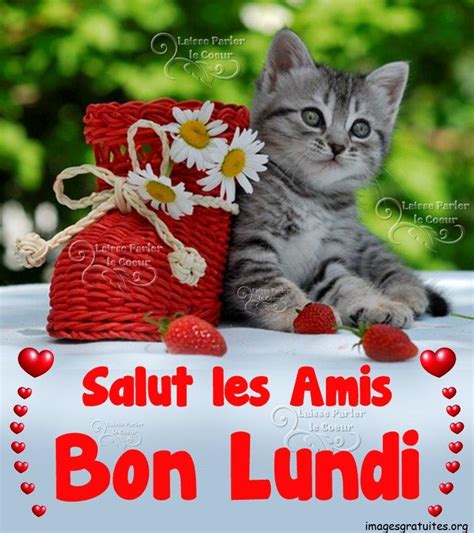 Bon Lundi Lundi Imagesgratuites Org