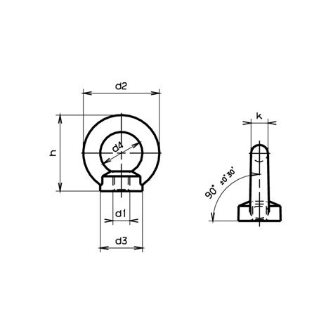 Ringmuttern DIN 582 Stahl C15E Verzinkt Blau M14 SFS