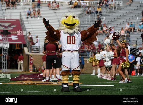 Boston college eagles mascot hi-res stock photography and images - Alamy