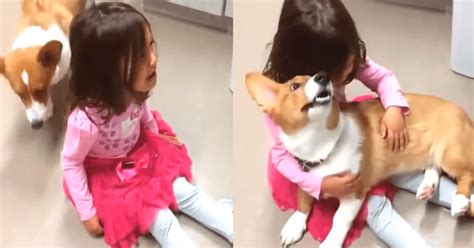 Facebook video viral niña llora desconsoladamente y su perro tiene