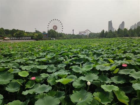 打卡宿州博物馆，品味云集美食，宿州一日游 宿州游记攻略【同程旅游攻略】