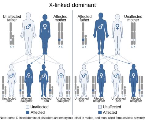 How Is Rett Syndrome Inherited Storymd