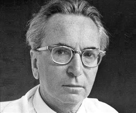 Viktor Frankl Biography - Facts, Childhood, Family Life, Achievements