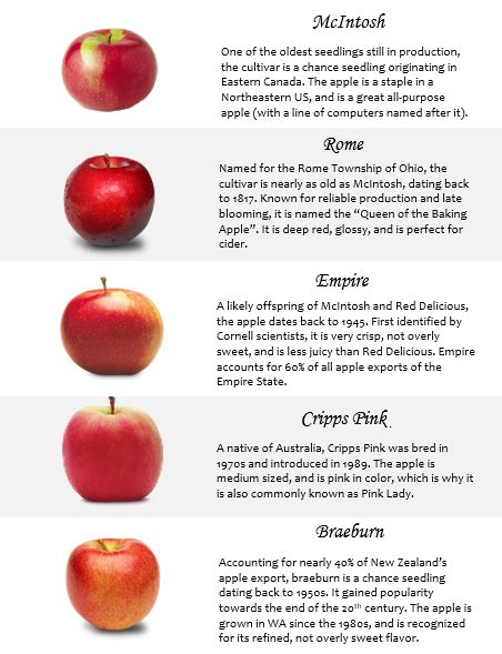 History Of The Apple Apple Mcintosh Eastern Canada