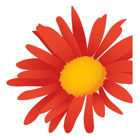 Margarita De Inflorescencia De Flores Descargar Png Svg Transparente B25