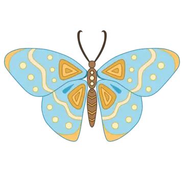 Butterfly Blue Wings Decoration Clip Art Material Butterfly Blue