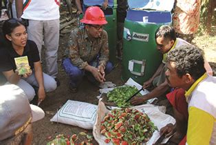 PEP Papua Field Latih Kader Lingkungan Membuat Kompos Pertamina