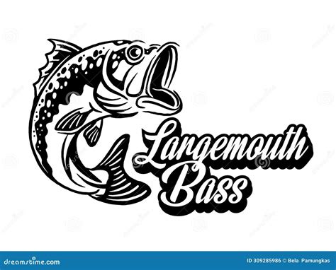 Black And White Of Largemouth Bass Fish Stock Illustration