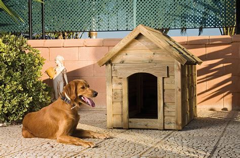 Introduzir Imagem Casas Para Perros Abzlocal Mx