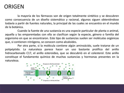 ORIGEN Y NATURALEZA QUIMICA DE LAS DROGAS PPT