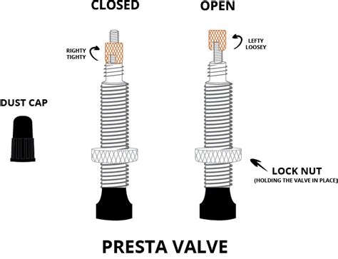 Different Types Bike Tyre Valves Isolated Stock Photo