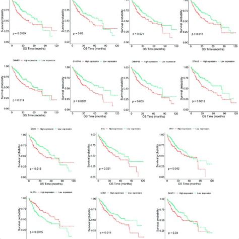 Kaplan Meier Survival Curve Of Hcc Samples With High And Low Expression