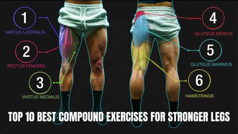 The Top Best Compound Exercises For Stronger Legs Ultimate Guide