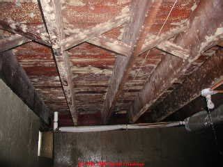 White Mold In Basement - Be Careful If You Do It Yourself | White Mold In Basement - White Mold ...