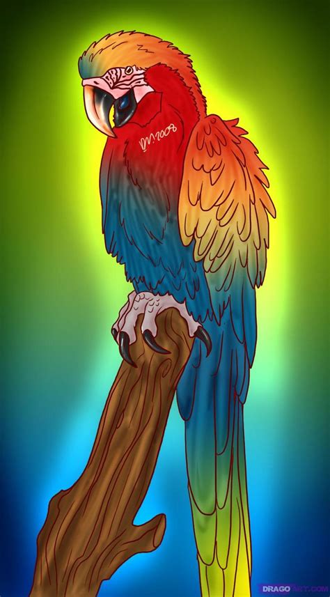 How to draw a macaw parrot - Hundreds of drawing tuts on this site ...