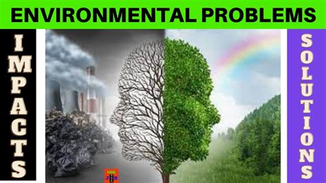 Eia Environmental Problems Impacts Solution Video In Hindi Urdu