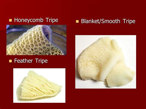 Super S CHOW Types Of Beef Tripe Tripe Is Made From The, 47% OFF