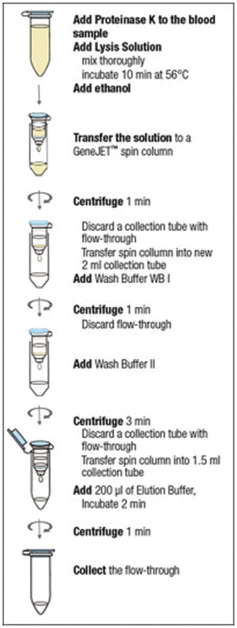 Thermo Scientific™ Genejet Whole Blood Genomic Dna Purification Mini