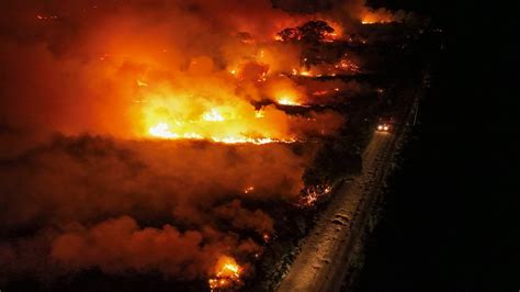 Los Incendios En El Pantanal De Brasil Se Disparan En Medio De La Ola