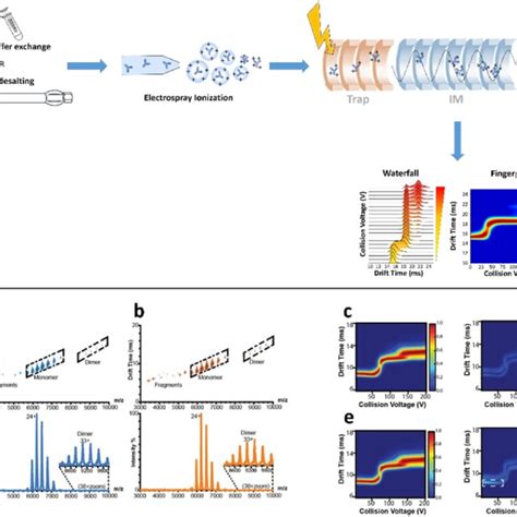 A Schematic Workflow Of IM MS And CIU Approaches B Ion Mobility