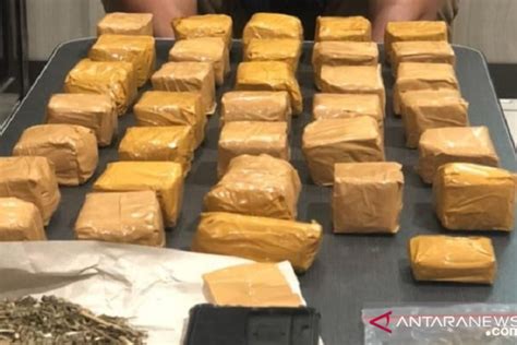 Polres Sukabumi Menangkap Bandar Narkoba Pemilik 1 2 Kg Ganja Antara News