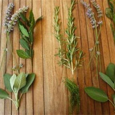 Herbs — Eatwell101