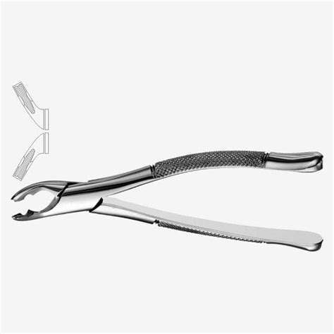 American Pattern Tooth Extraction Forceps Fig 151AS Xelpov Surgical