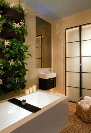 Feng Shui Bathroom Plants for Health, Wealth & Luck