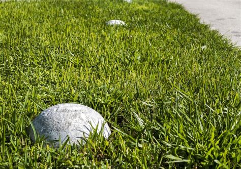 Parking White Pavers On The Grass To Prevent Cars From Driving Stock