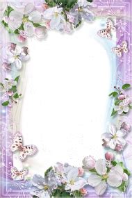 Beautiful Purple Round Flowers Transparent Frame Background Best Stock