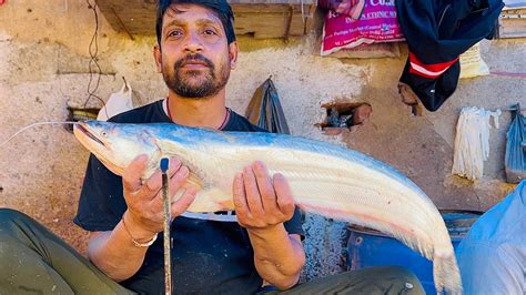 Amazing Big Boal Fish Cutting In Indian Fish Market Catfish