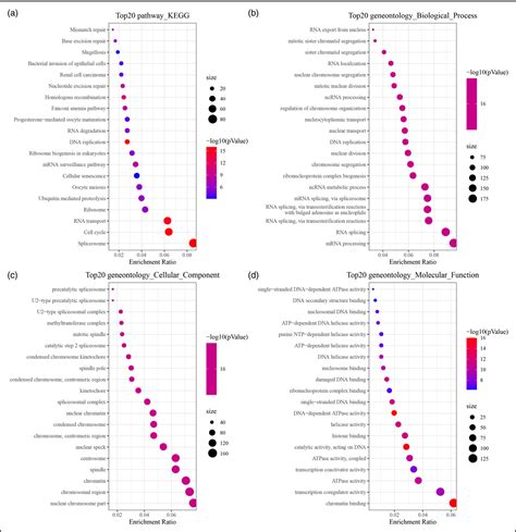 Figure 2 From Identification And Development Of Tp53 Mutation