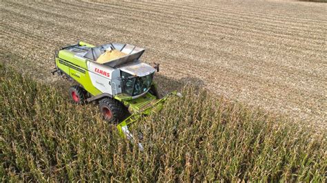 Żniwa Kukurydziane 2022 Claas Lexion 770 John Deere 7730 YouTube