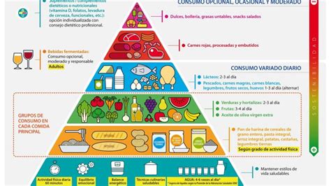 Pirámide Alimenticia Concepto Función Y Grupos Alimentarios