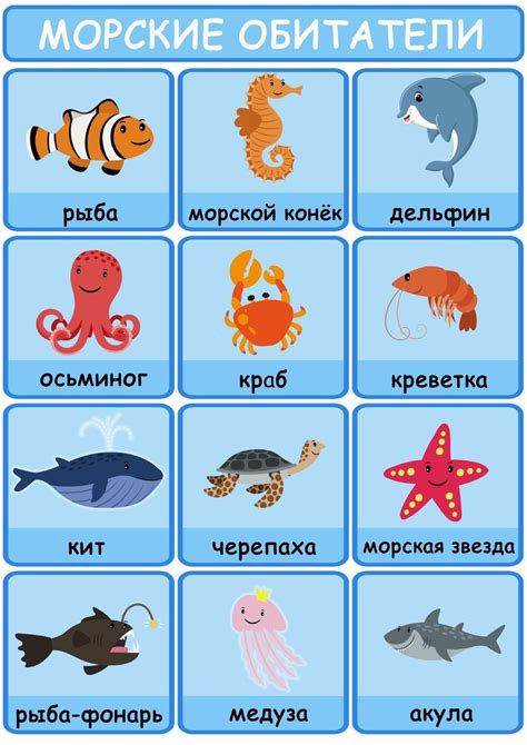 Russian Lessons Learning Languages Tips Russian Language Language