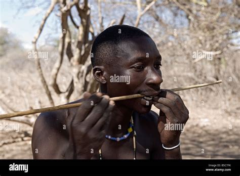 Hadza Man Bending A Hunting Arrow Lake Eyasi Tanzania Stock Photo Alamy