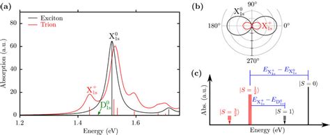 A Optical Absorption Spectrum Of Neutral Excitons Black And