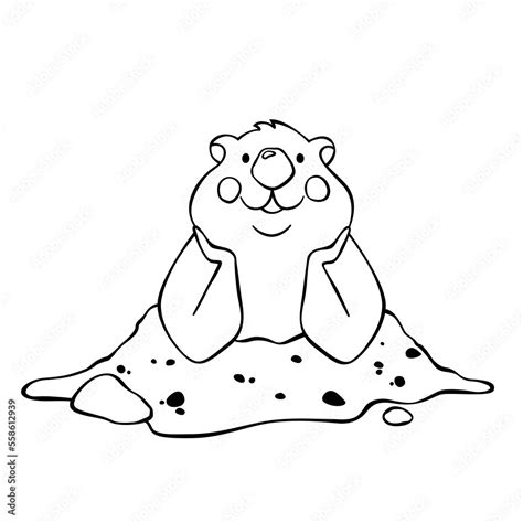 Cute Groundhog Animal Vector Coloring Book Outline Sketch Stock Vector