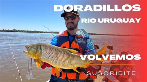 Pesca de doradillos en el río Uruguay YouTube