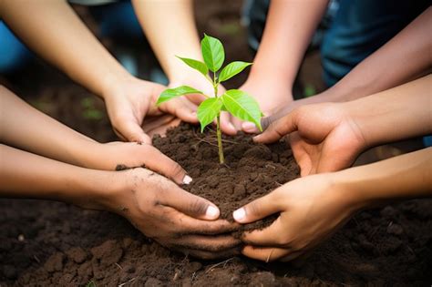 Un Grupo De Voluntarios Se Unen Para Plantar Un Rbol En El D A Mundial