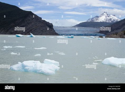 Base of Grey Glacier calving blue icebergs into Grey Lake in Torres del ...