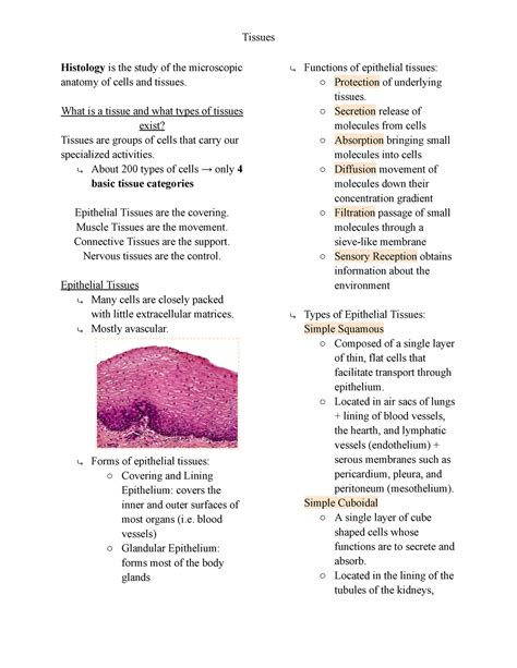 Tissues Anatomy Histology Is The Study Of The Microscopic Anatomy